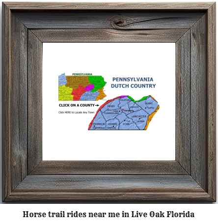 horse trail rides near me in Live Oak, Florida